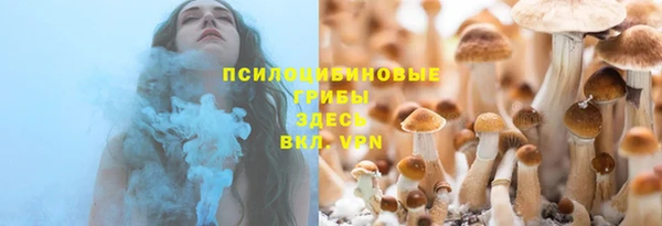 2c-b Армянск