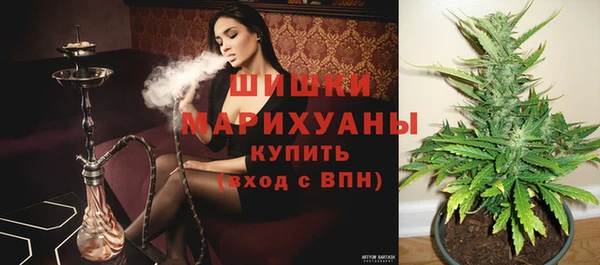 соль ск Аркадак