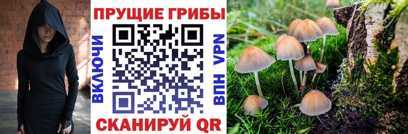 Галлюциногенные грибы ЛСД купить наркоту нарко площадка наркотические препараты Удомля
